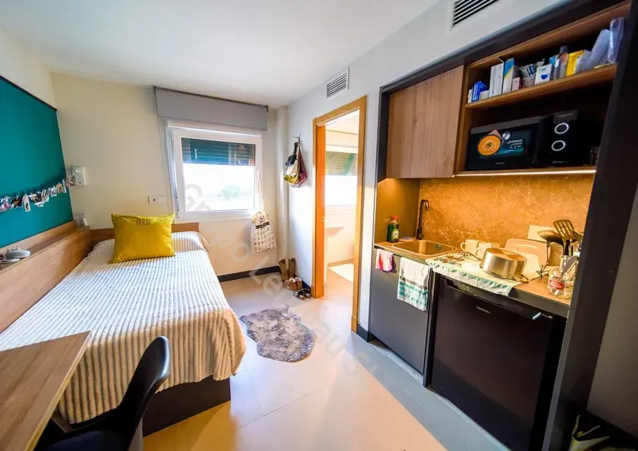 Superior Single Room（BRAVO） interior 1